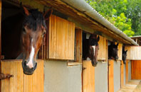 free Carroway Head stable construction quotes